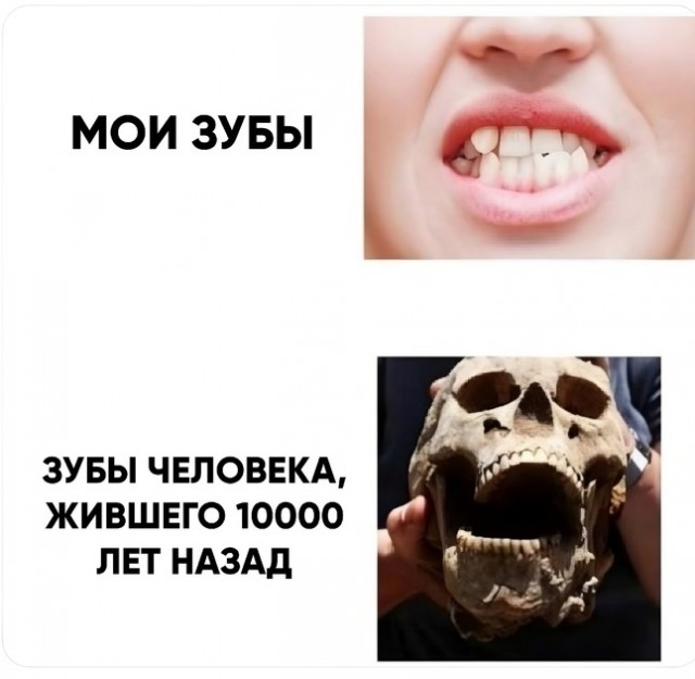 Весёлый полтишок 05.05.24