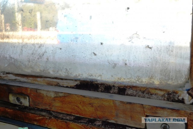 Русская плацкартная жизнь