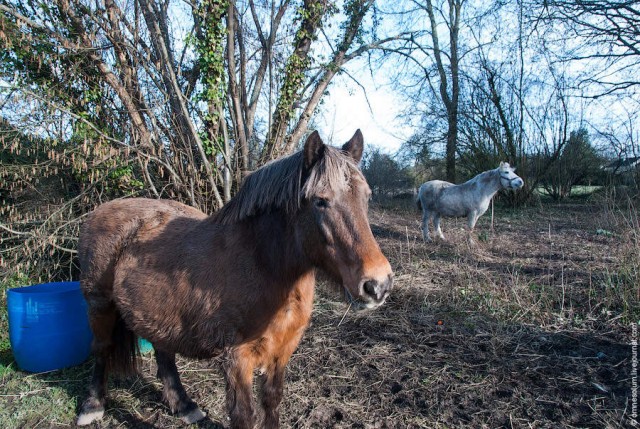Нетуристическая деревня Шодон