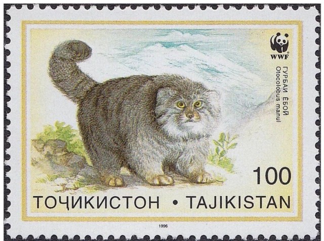 Манул