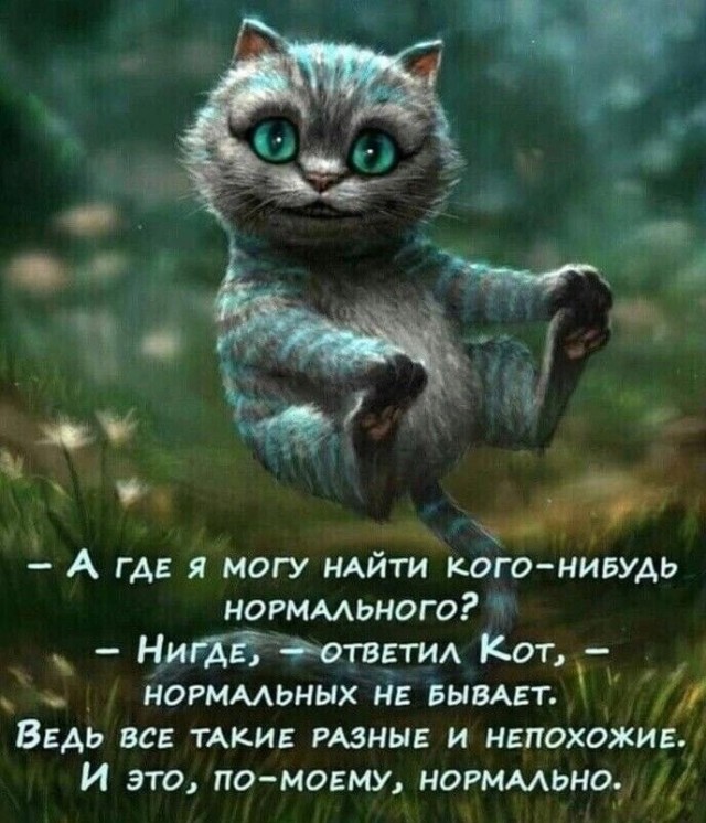 Прикольные и просто красивые картинки 16.05.2025