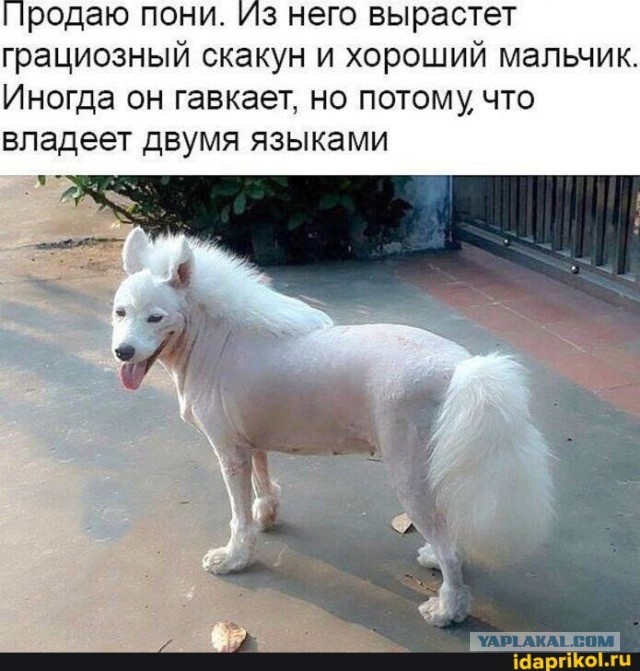 Когда у тебя ICQ 24