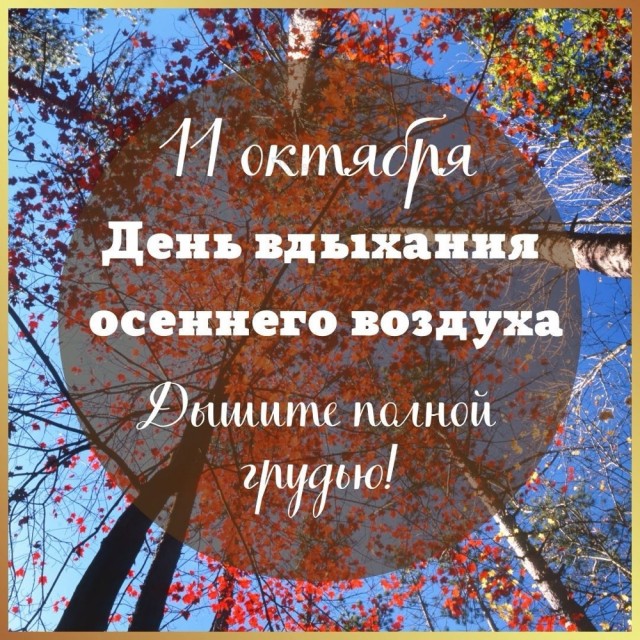 Осенние картинки