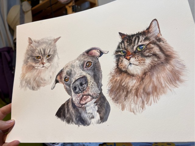 Групповой портрет - 2 кошки и собака