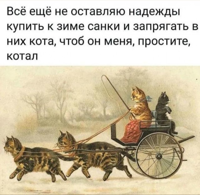 Идите нафиг с этой вашей зимой