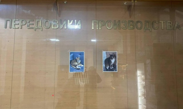 Картиночки на 15.01.2026