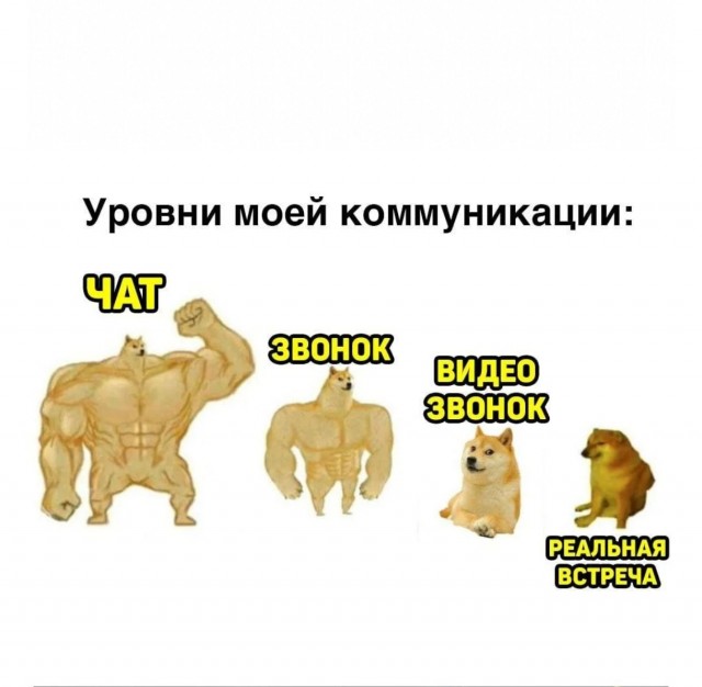 Немного е*анины на среду