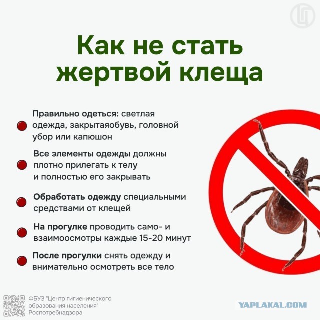 В Ленобласти зафиксировали первые укусы клещей.