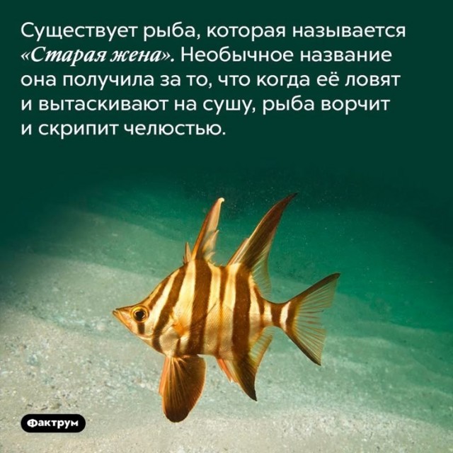 Вторника картинки