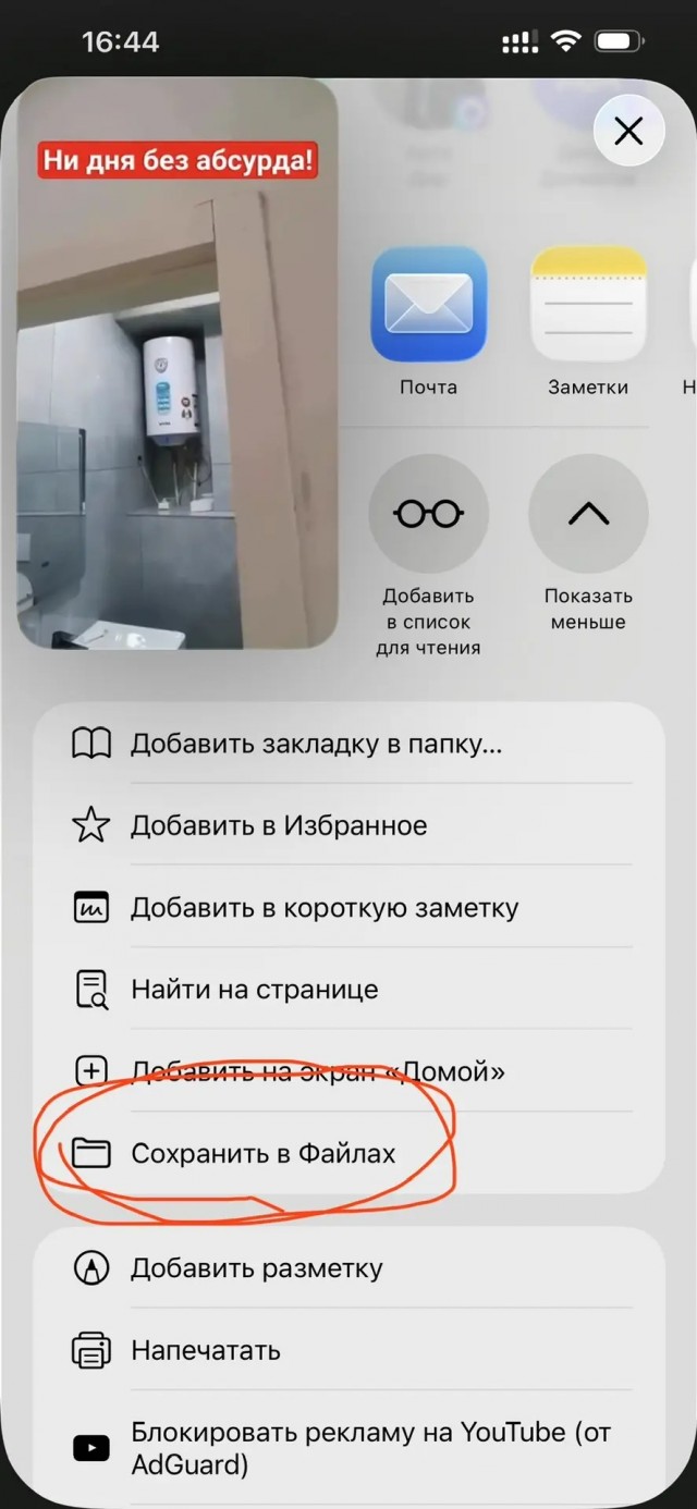 Скачать видео файл с сайта