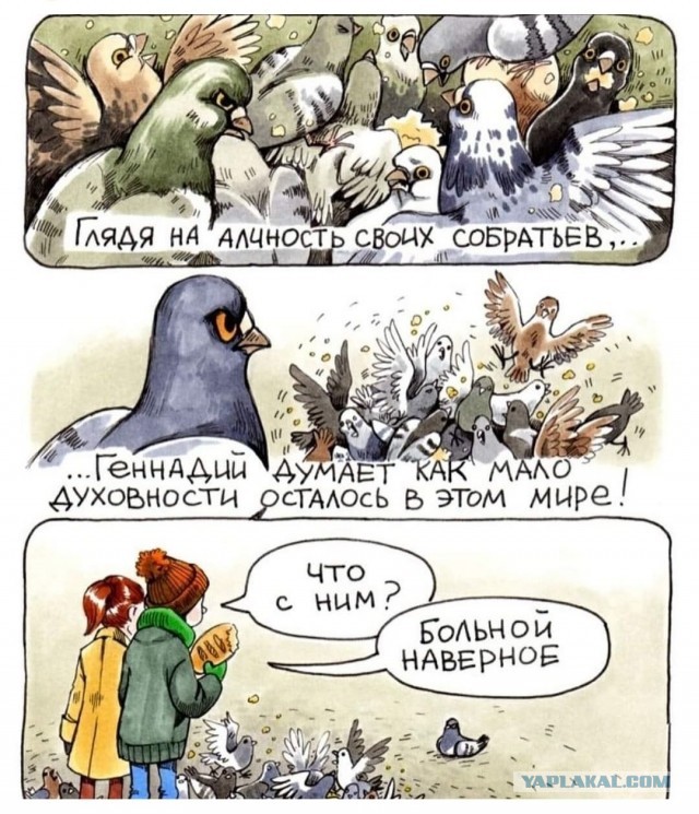 Про голубей