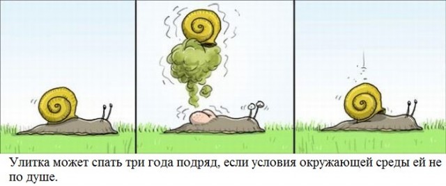 Веселое настроение в картинках (14.05.2026)