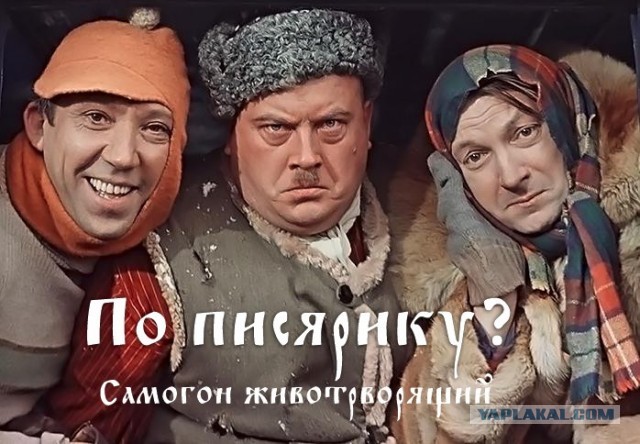 Реальные алкаши
