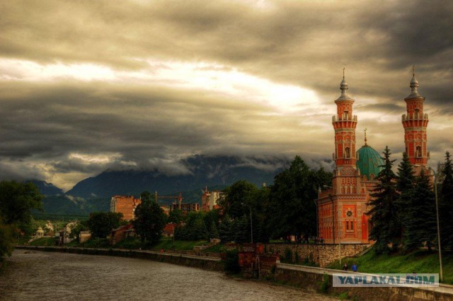 Фотоконкурс National Geographic Photo  2013