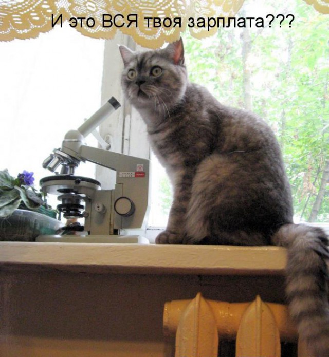 Не про олимпиаду