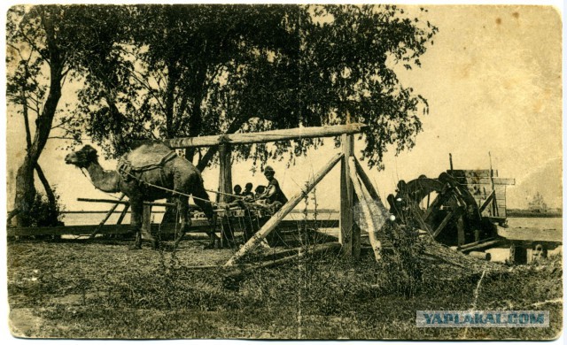 Удивительные исторические фотографии