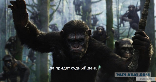 Дятлы ржут!