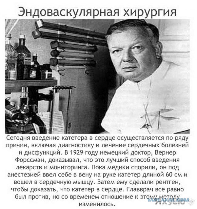Самые аморальные эксперименты в истории