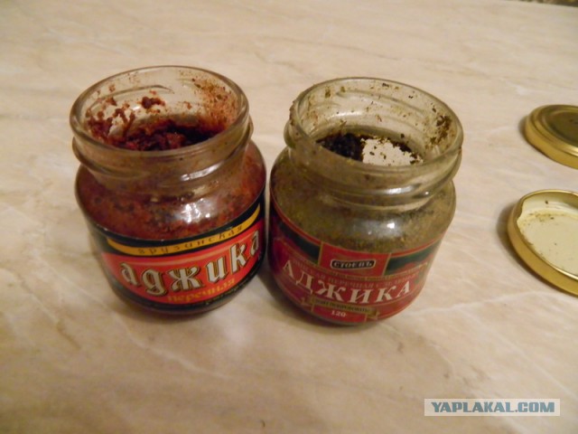 Домашний сацебели