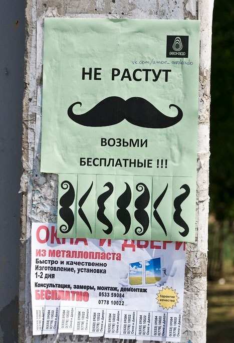 Не растут усы? Да бери так, нахаляву!