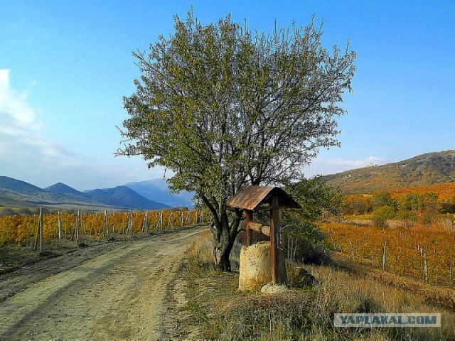 Судак