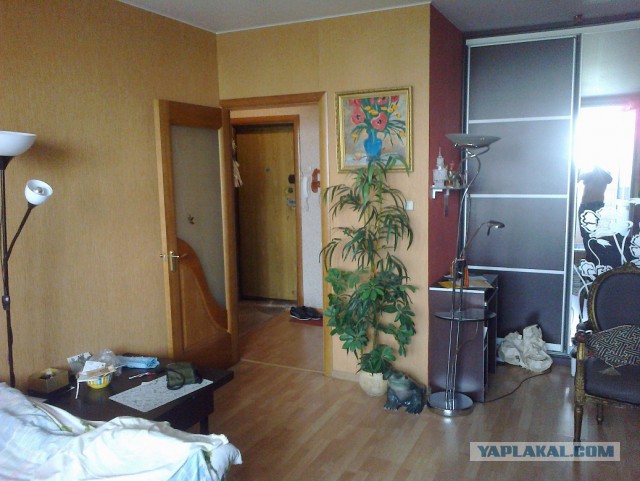 Сдам однушку в Москве. В ЮАО.