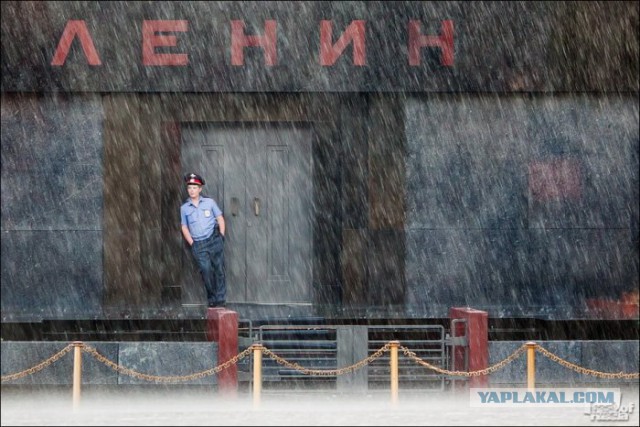 Про 100 миллионов заживо репрессированных