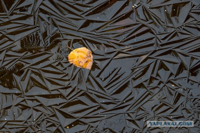 В нужный момент