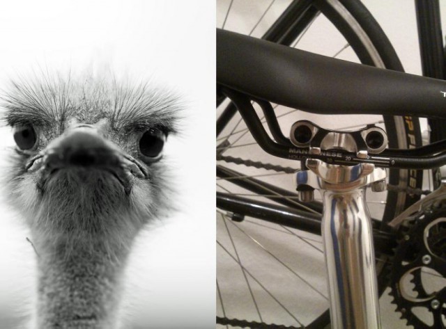 Абсурдный юмор