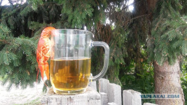 Пивная эротика (с пятницей!)