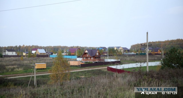 Свидомые и "Тотальный диктант" в Николаеве