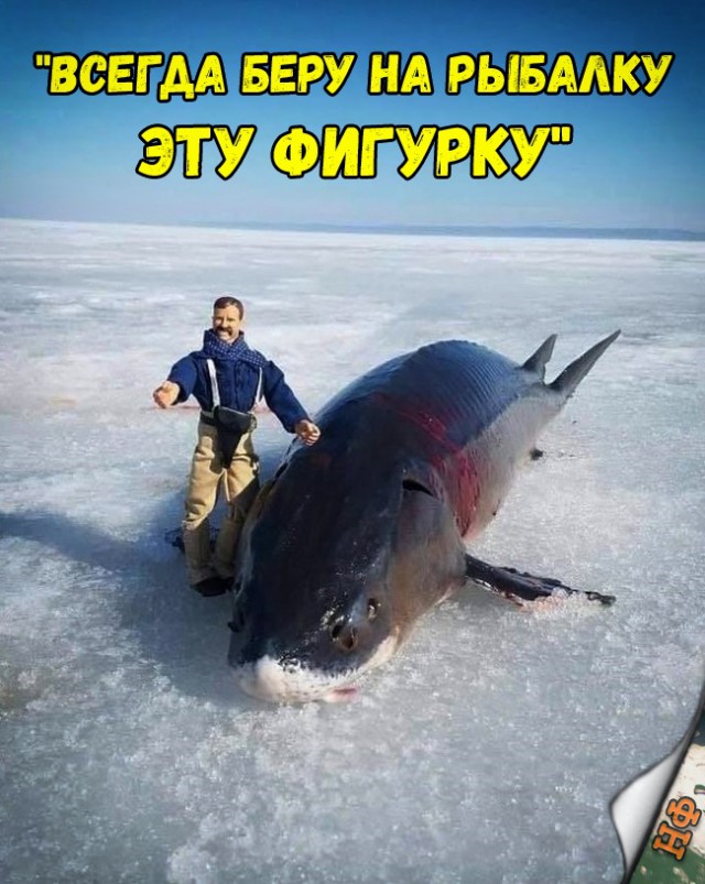 Нестандартный юмор