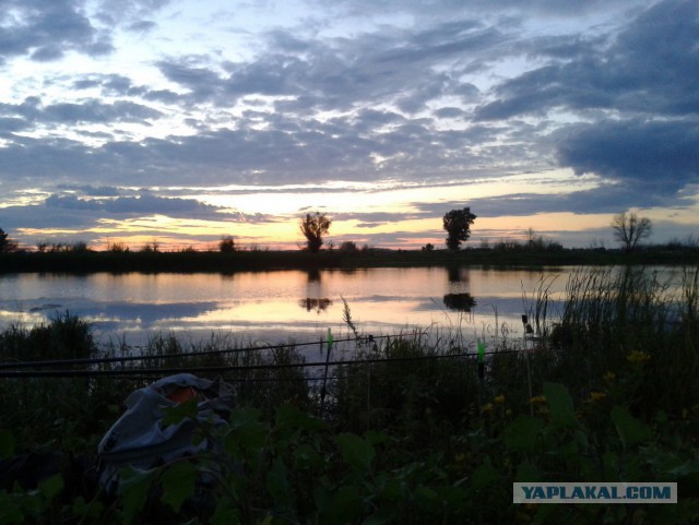 Весна, ждем рыбалки по открытой воде.