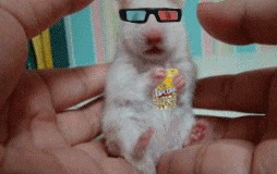Фотожаба: Удивление мышонка