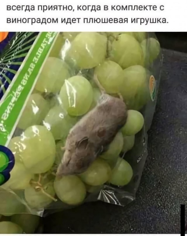 Немного картинок для настроения 16.11.20