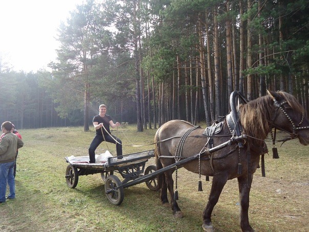 Фотожаба: если б я имел коня...