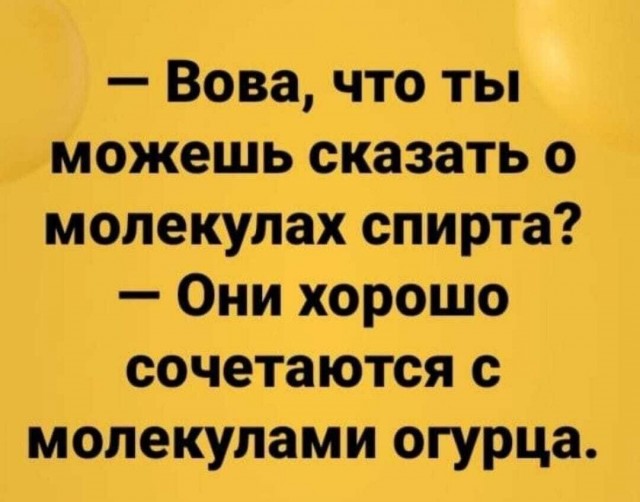Алкопост 13.08.21