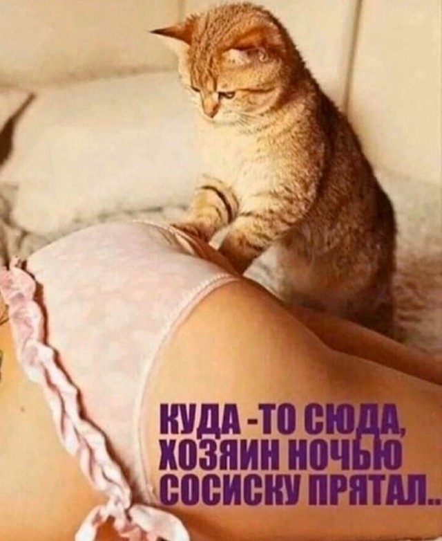 Так себе картинки 27.08.21