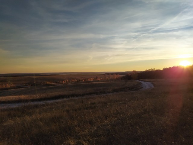 Моя мобильная фотография