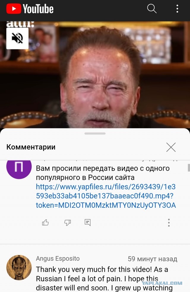 И Арни туда же
