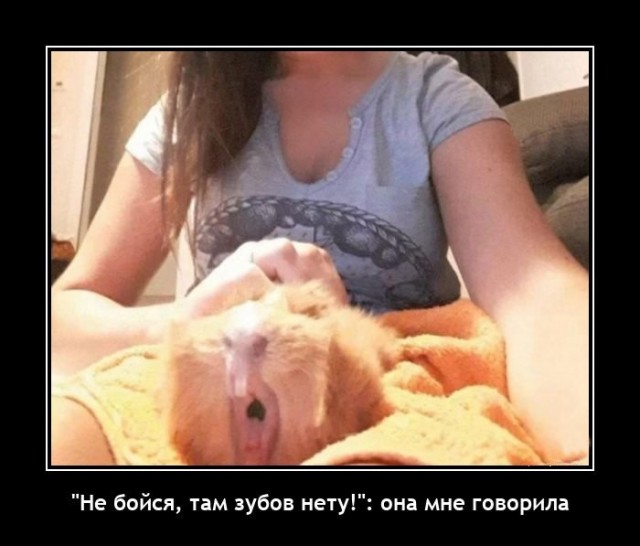 Немного картинок и прочей хреноты Vol. 12