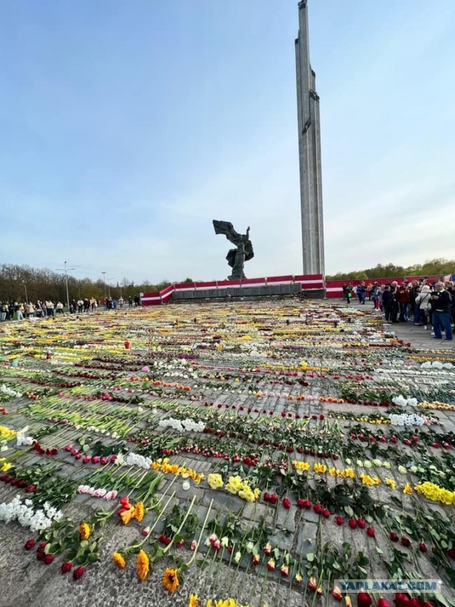 Рига цветы у памятника Освободителям Риги