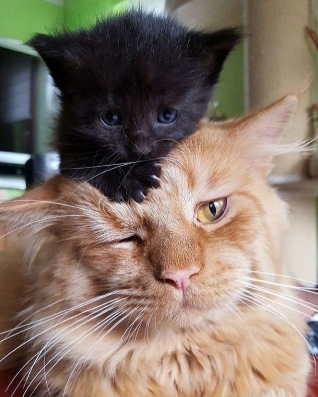 Тьма, пришедшая со Средиземного моря, накрыла...⁠⁠