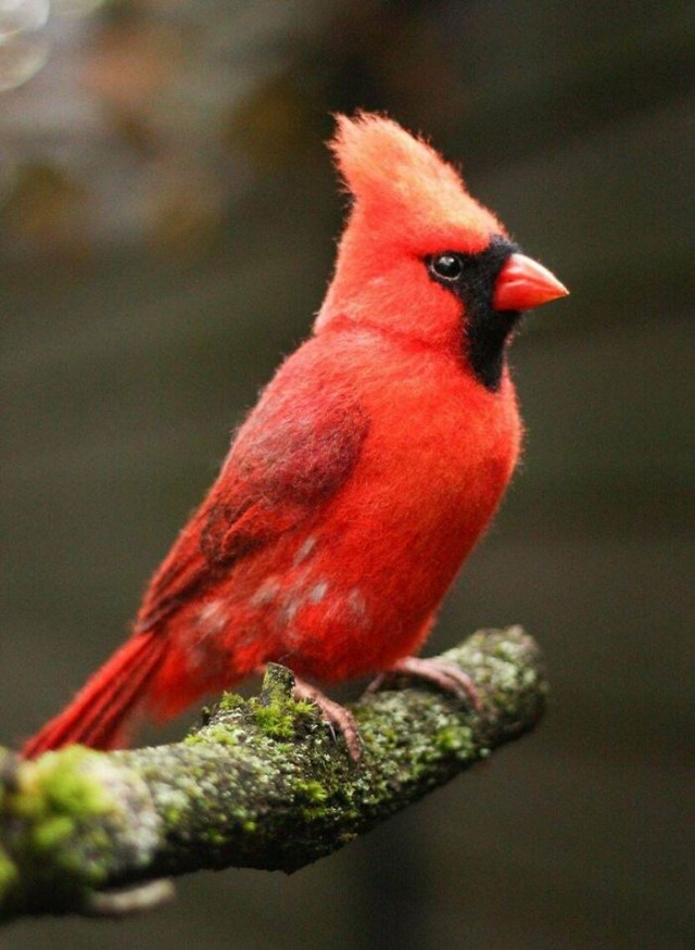 15 раз, когда люди объединили отличные идеи с идеальным исполнением, создав исключительную красоту