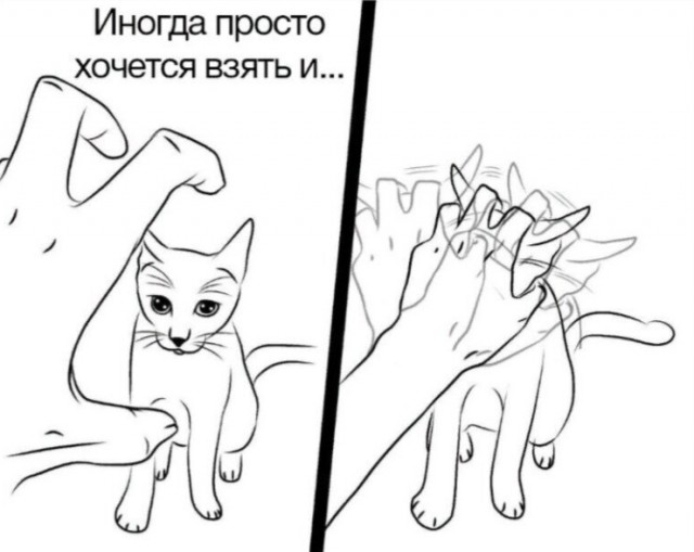 Скриншоты и комментарии из социальных сетей 02.12.22