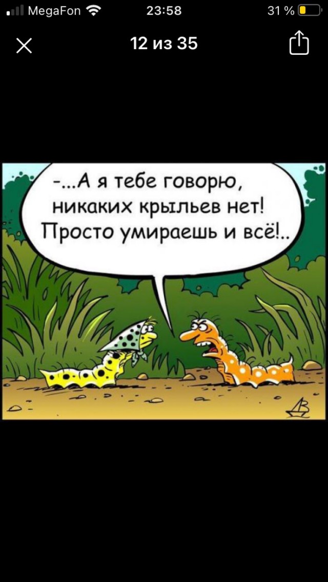 Петр Мамонов: " Русские по всем параметрам впереди планеты всей"