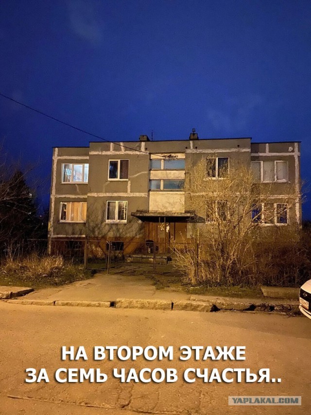 Так себе картинки 15.02.23