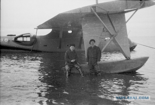 Полярная авиация