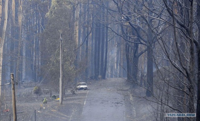 Пожары в Австралии