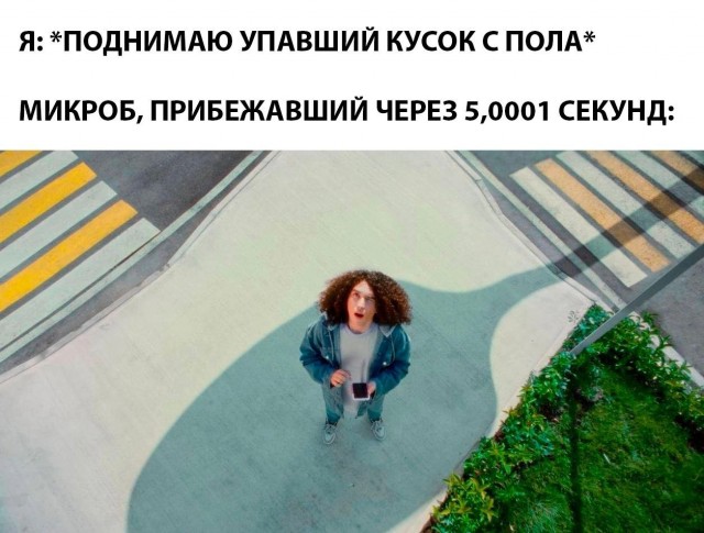 Картинок пост 1.11.2023